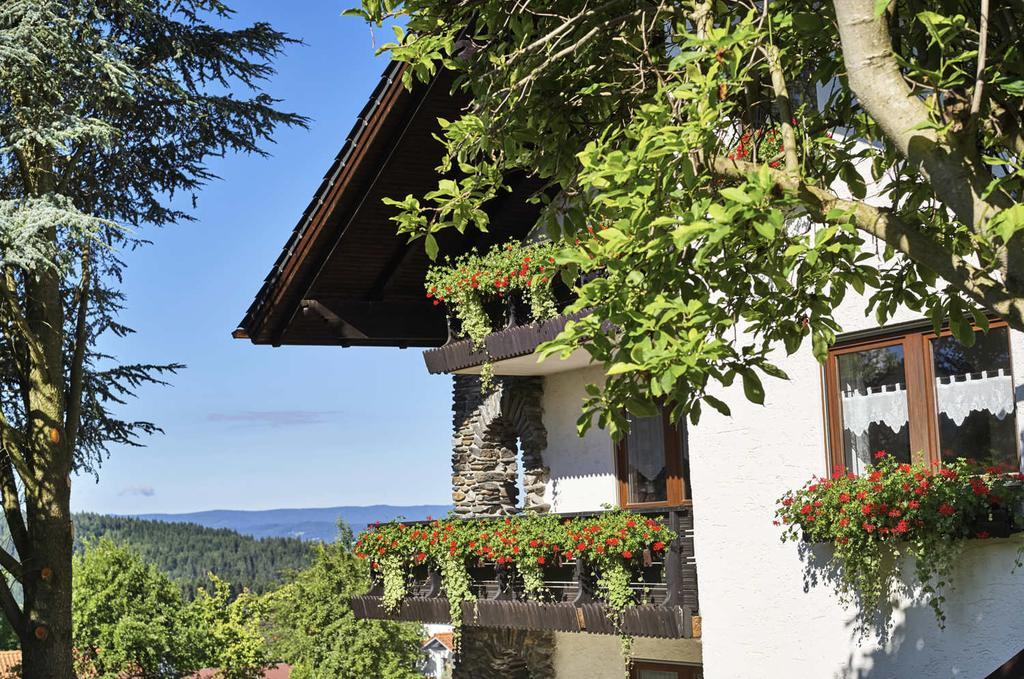 Ferienhaus Fidelis Bodenmais Exterior photo